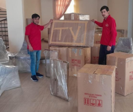 Untitled (262 x 221 px)